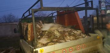 Amenjare interioara si exterioara casa Magurele